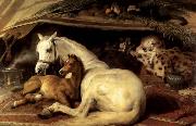 Sir Edwin Landseer The Arab Tent China oil painting reproduction